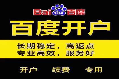 案例分析：百度竞价推广运营如何助力企业实现品牌突破